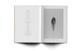 Andrea Fogli, Diario Delle Ombre