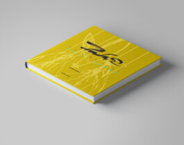 Futura 2000, Full frame