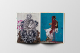 Swoon, The red skein