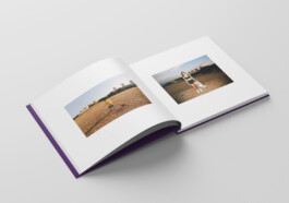 Niccolò Berretta, I Smelled the Spring on the Smoky Wind, Emanuele Mascioni Editore