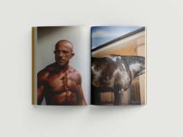 Tim Davis Hallucinations