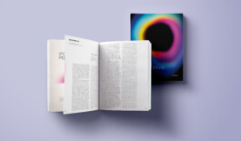 Ipotesi Metaverso Softcover, 24 x 32 cm, 132 pages | Drago Publisher ISBN: 978-88-98565-51-1