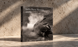 Attilio Maria Navarra, Asini