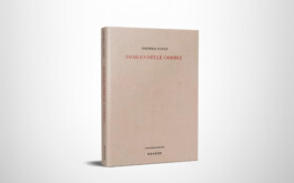 Andrea Fogli, Diario delle ombre